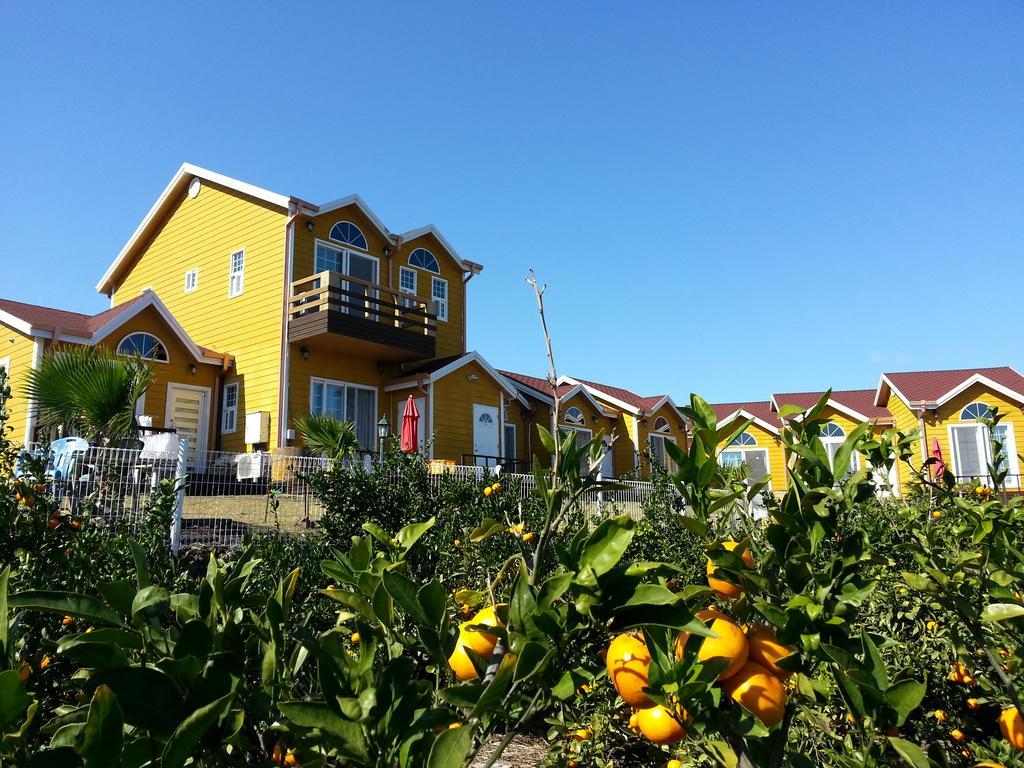 Healing House Villa Seogwipo Exteriör bild